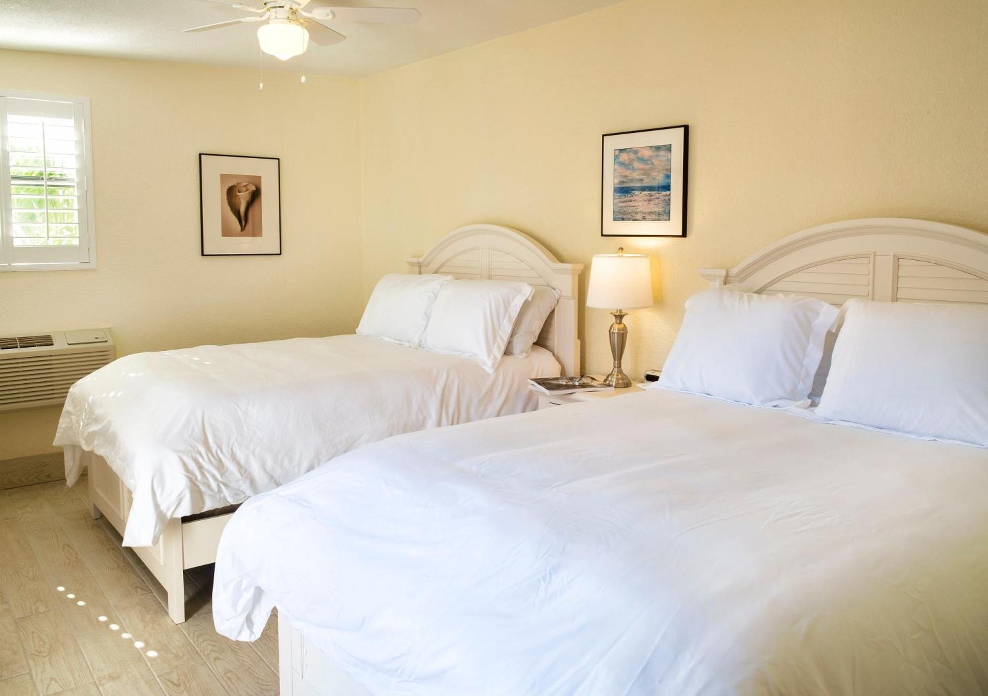 Double Plus Room,712911943:JPEG