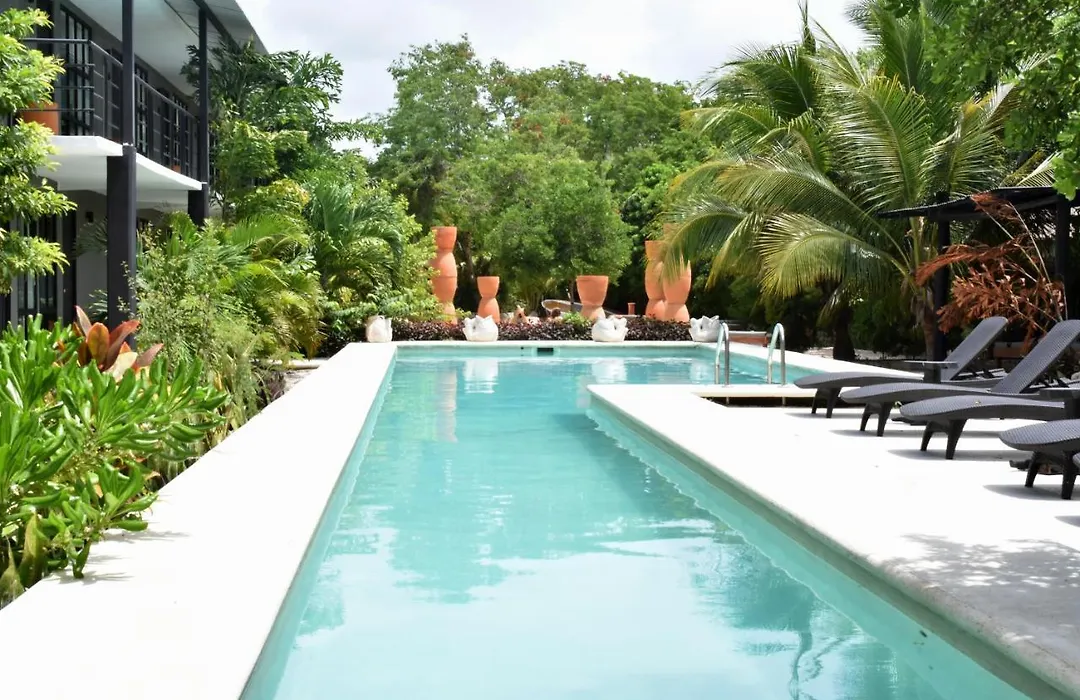 Barronegro (Adults Only)-1