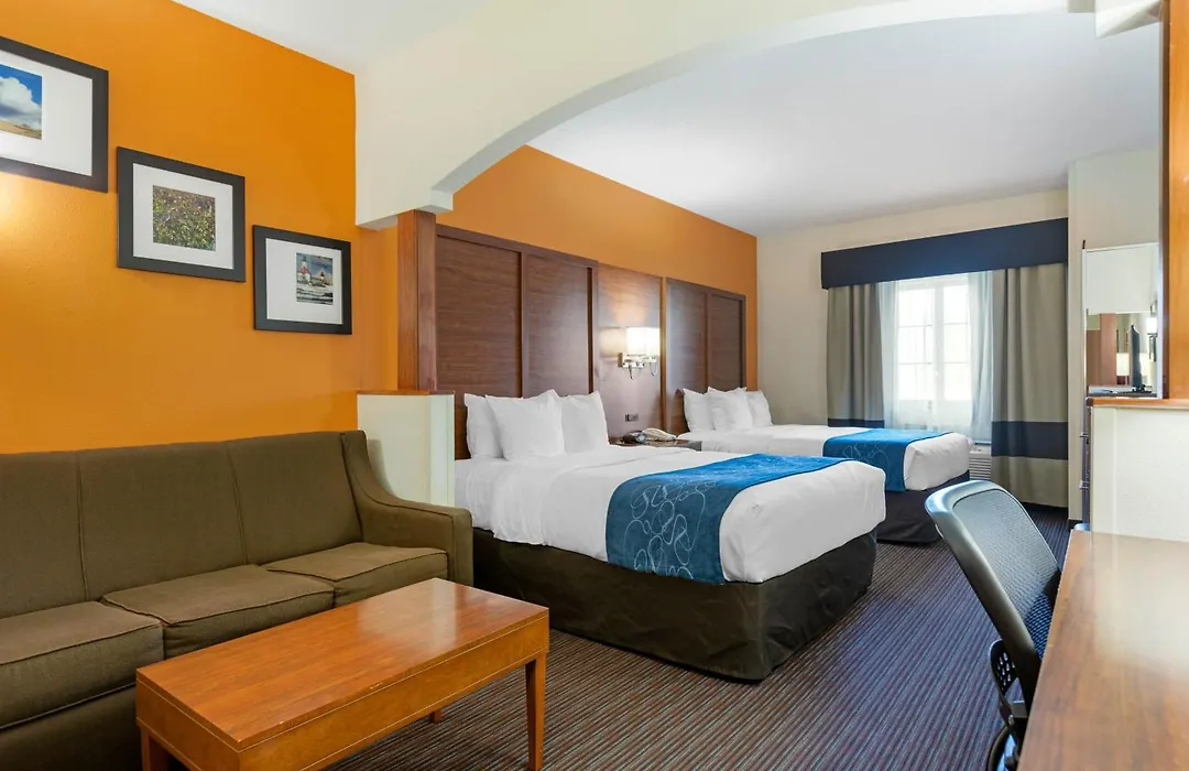Comfort Suites Stevensville - St Joseph-1