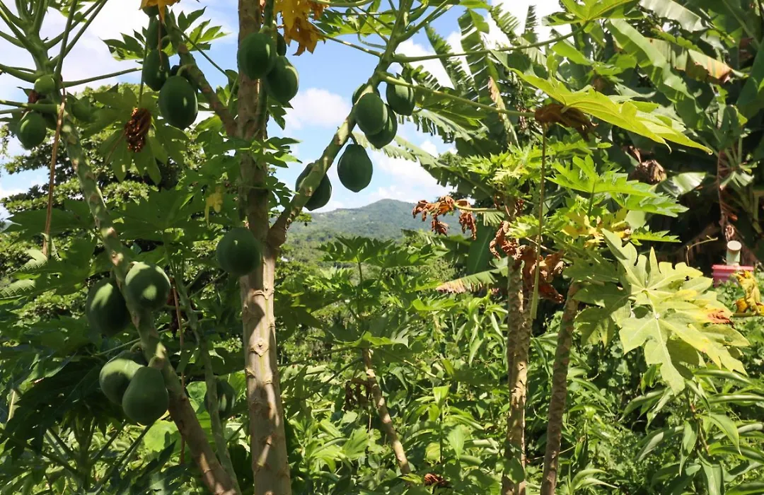 La Casa De Vida Natural-1