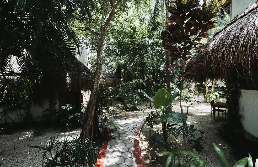 Hotel Casa Barbara Holbox-1