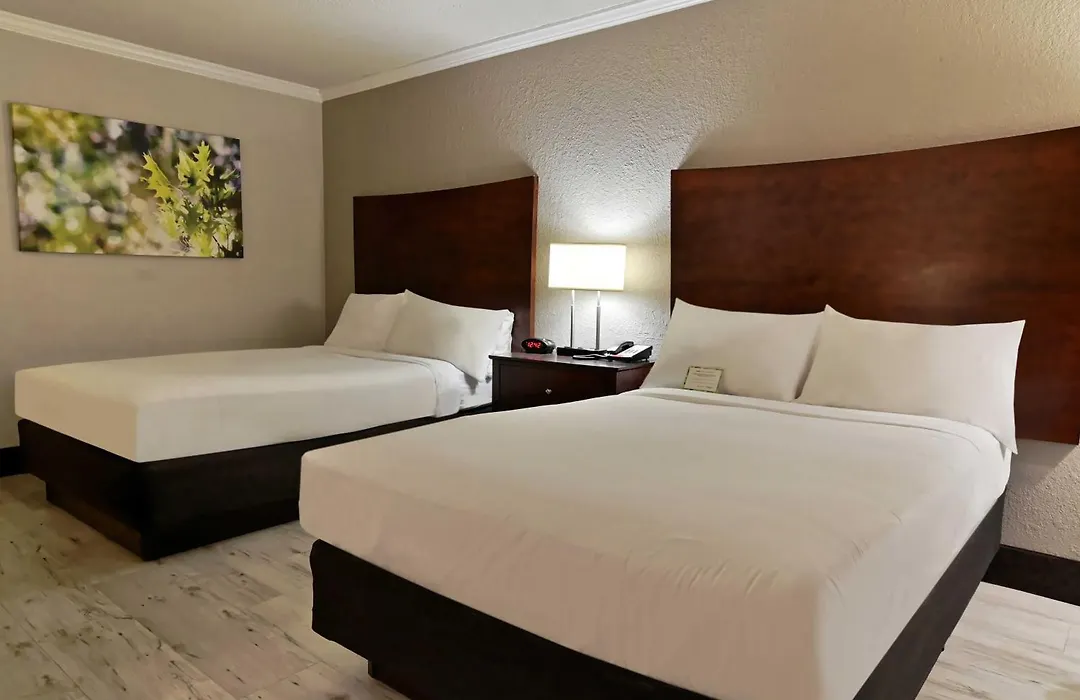 Wyndham Garden Summerville-1