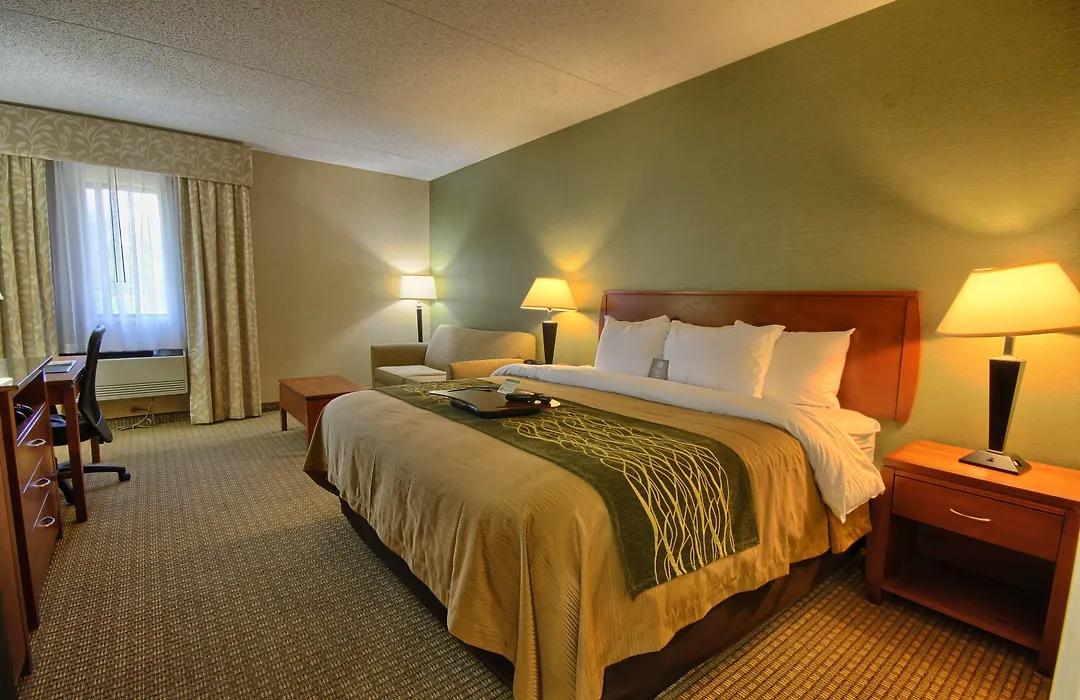 Comfort Inn Near Greenfield Village-1