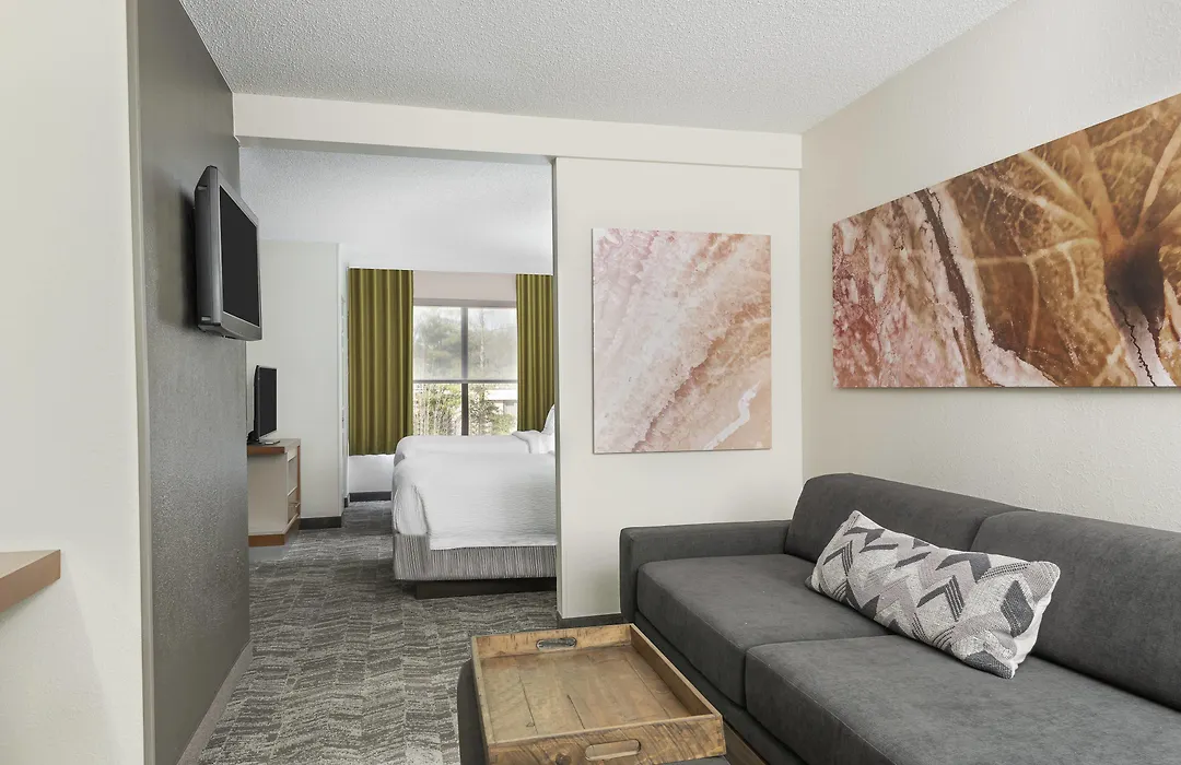 Springhill Suites Asheville-1