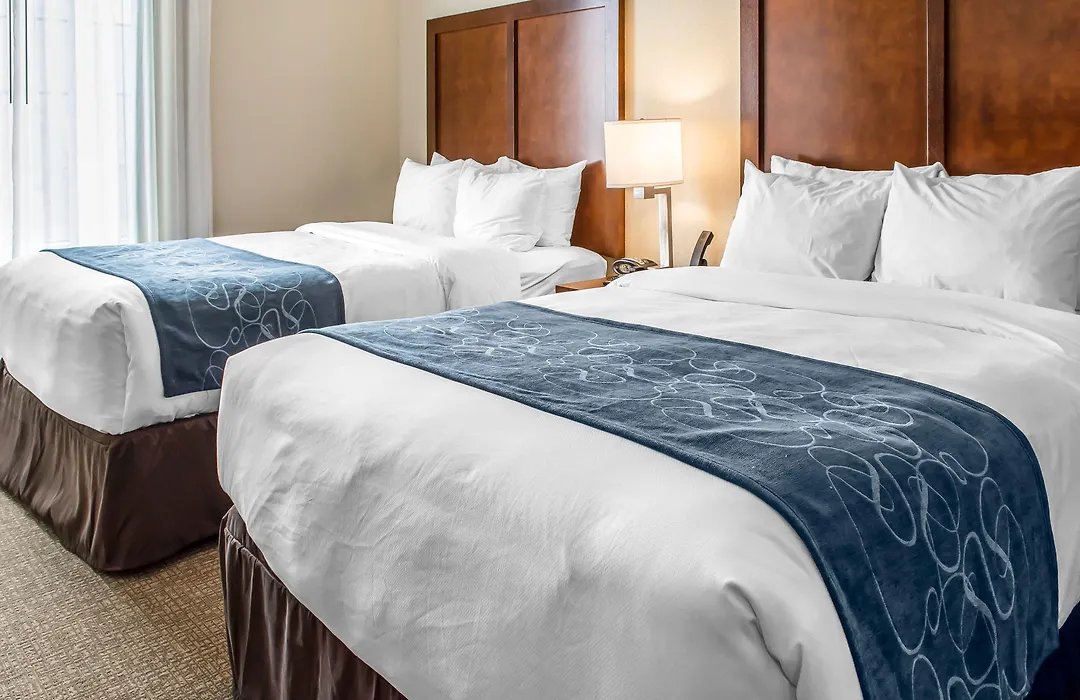 Comfort Suites Near Potomac Mills-1
