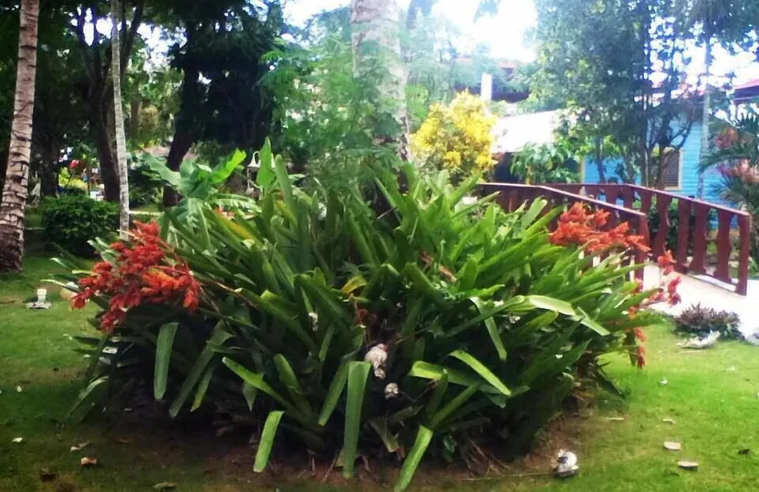 Plaza Real Resort-1