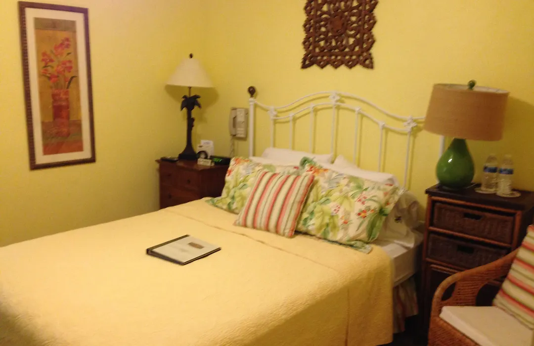 Mango Inn Bed And Breakfast-1