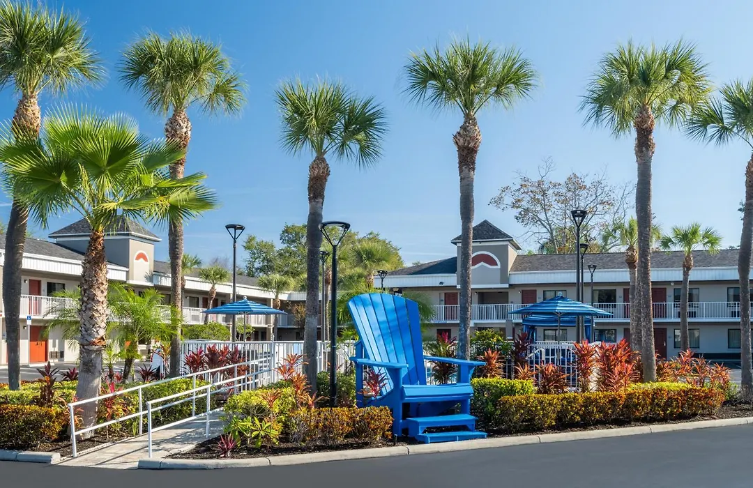 Hotel South Tampa & Suites-1