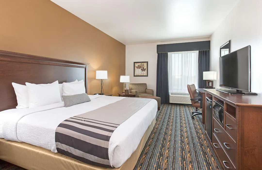 Best Western Plus Lincoln Inn & Suites-1