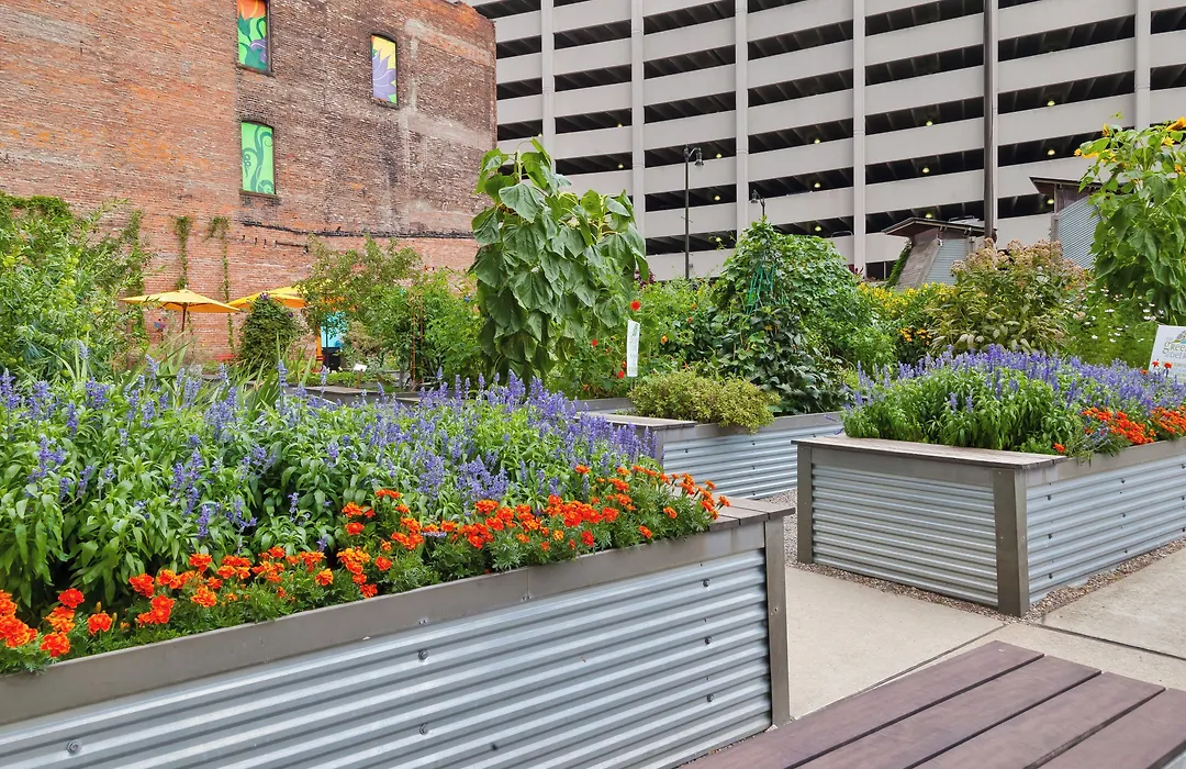 Hotel Indigo Detroit Downtown By Ihg-1