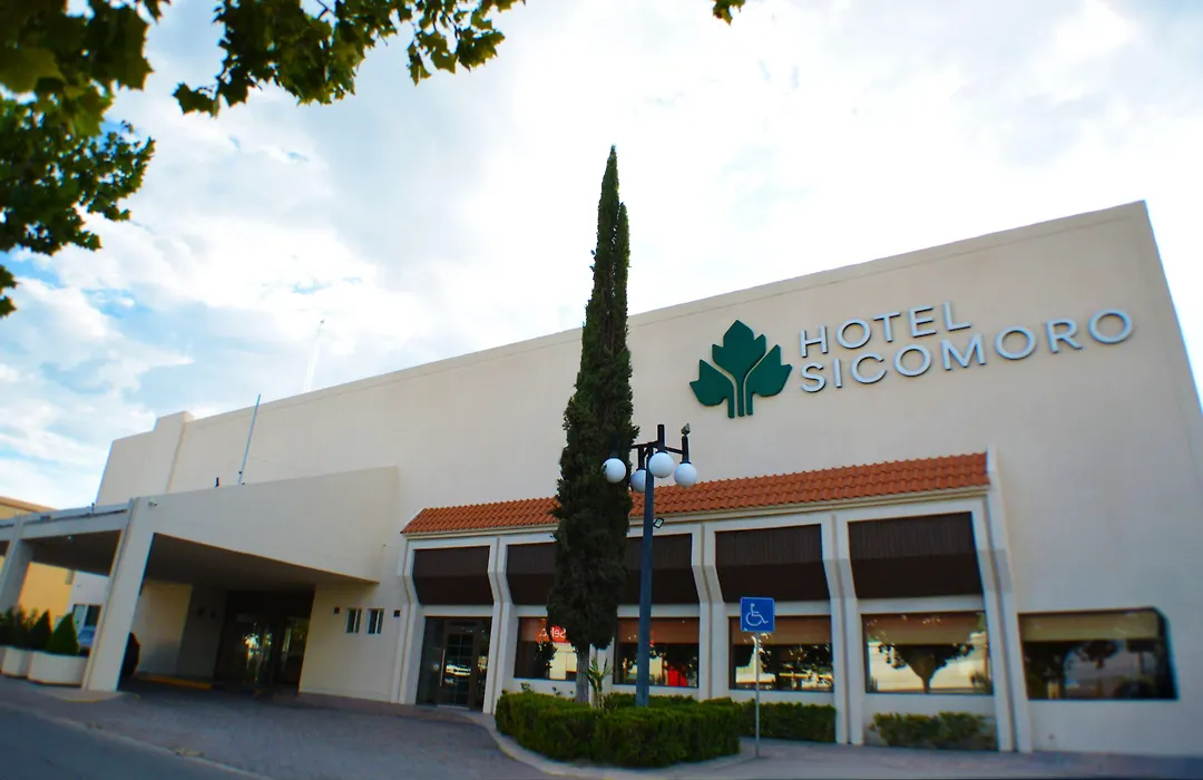 Hotel Sicomoro-1