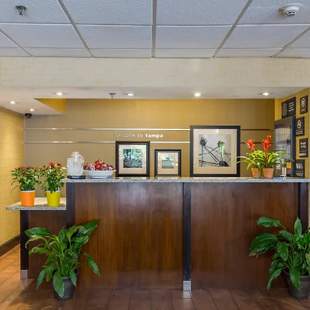 Hilton Tampa Airport Westshore-2