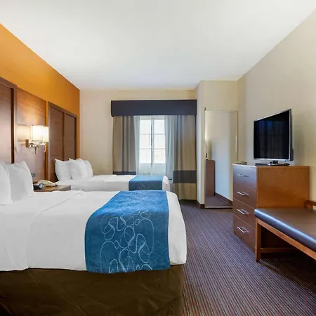 Comfort Suites Stevensville - St Joseph-3