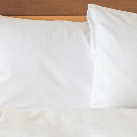 Country Inn & Suites By Radisson Benton Harbor-St Joseph Mi-2
