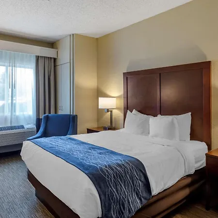 Comfort Inn Rockford Near Casino District-3