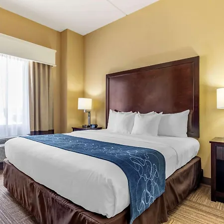Comfort Suites Frisco-3
