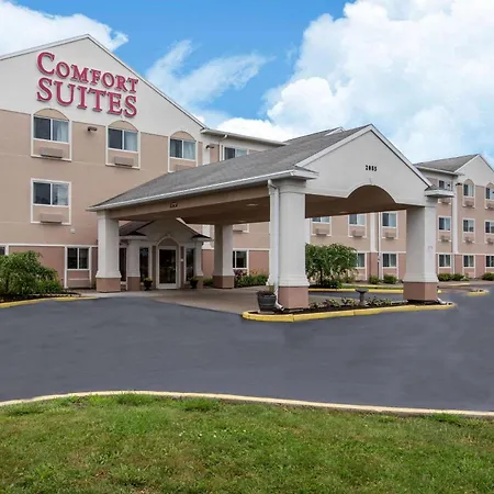 Comfort Suites Rochester Henrietta University Area-3