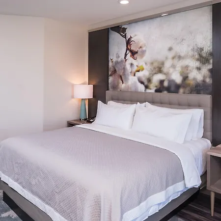 Hotel Indigo Frisco By Ihg-3