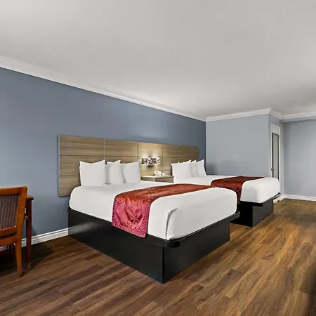 Best Western Moreno Hotel & Suites-2