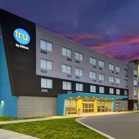 Tru By Hilton Gaylord, Mi-2