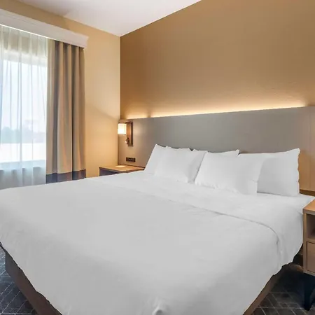 Comfort Suites Mckinney-Allen-3