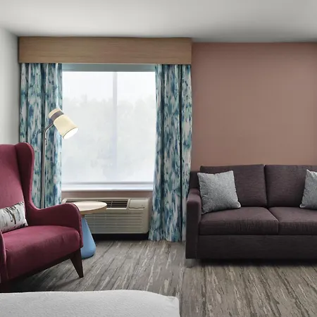 Hilton Garden Inn Tampa East Brandon-2