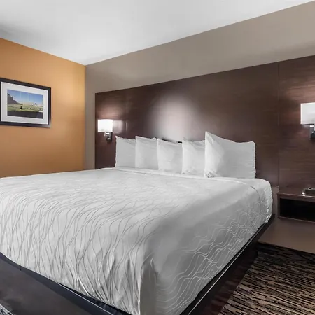 Best Western Plus Denton Inn & Suites-3