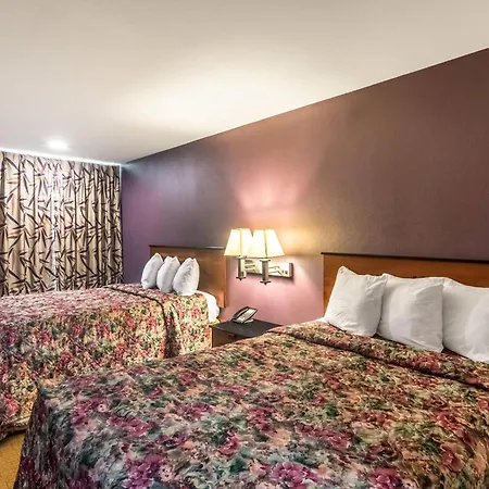 Rodeway Inn Arlington Entertainment District Area-3