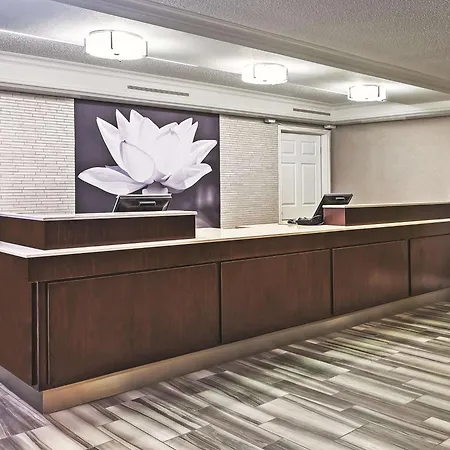 La Quinta Inn By Wyndham Midland-2