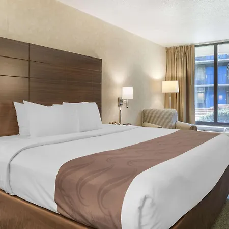 Quality Inn Vienna - Tysons Corner-3