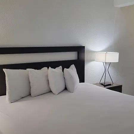 Vivo Flex Living Torrance-3
