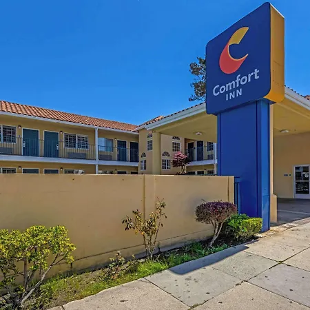 Comfort Inn Beach Boardwalk-3