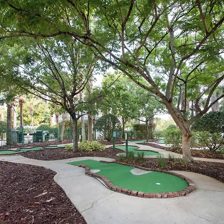 Springhill Suites By Marriott Orlando Lake Buena Vista South-3