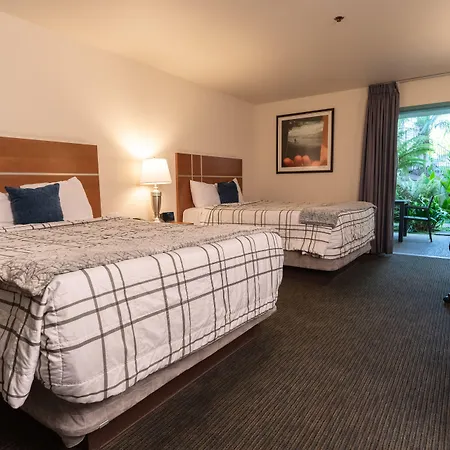 Lemon Tree Inn-2