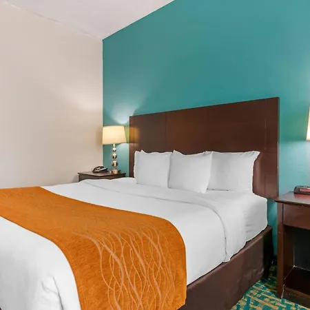 Comfort Inn & Suites Fort Lauderdale West Turnpike-2