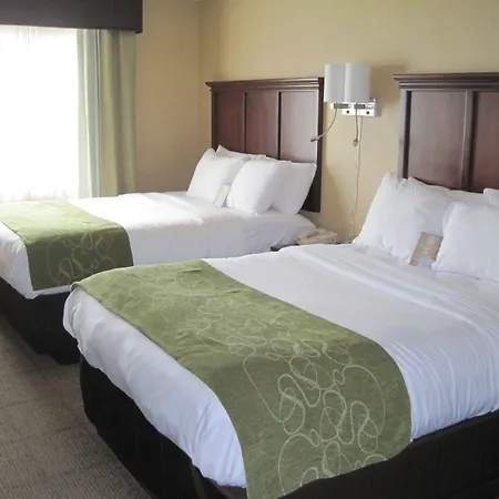 Comfort Suites Columbia - University Area-2