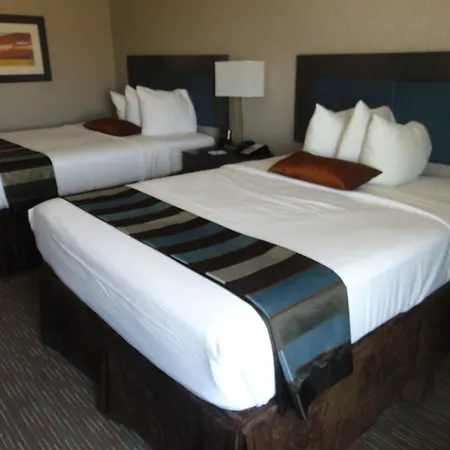 Wingate By Wyndham Lubbock-3