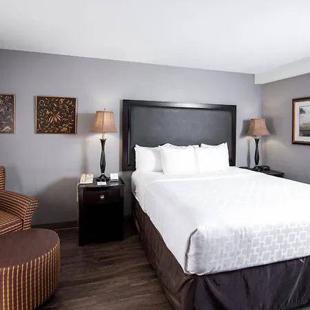 Carradoc Hall Hotel & Conference Center - Leesburg By The Red Collection-3