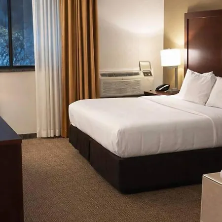 Comfort Inn Farmington Hills - Novi-Royal Oaks-Southfield-Detroit Northwest-3
