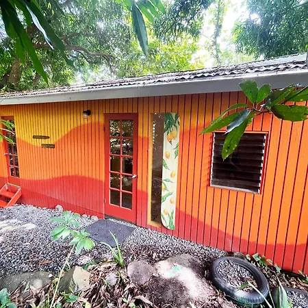 La Casa De Vida Natural-3