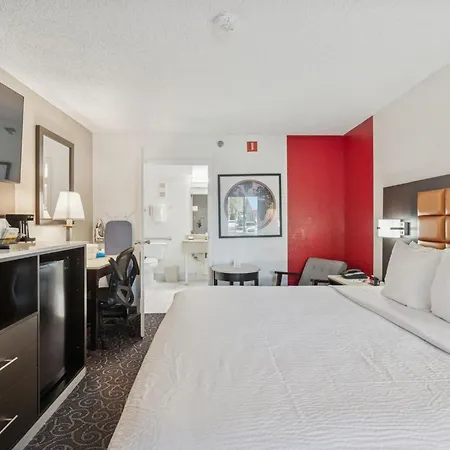 Ramada By Wyndham Temple Terrace/Tampa North-3