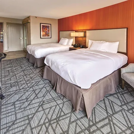 Hilton Knoxville Airport-3