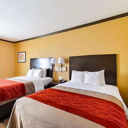 Quality Inn & Suites Lubbock South-2