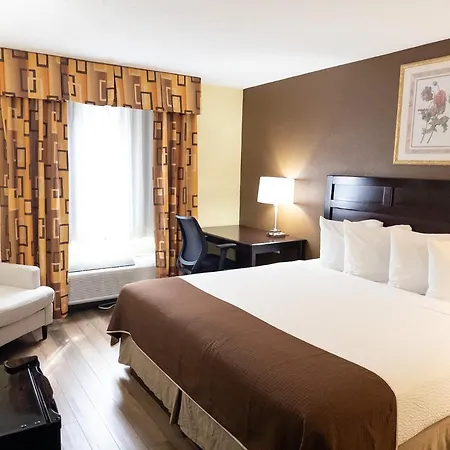Baymont By Wyndham Battle Creek Downtown-2
