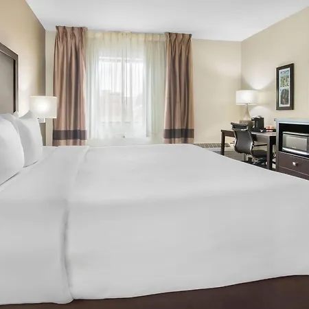 Comfort Inn Detroit Downtown-3