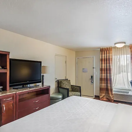 Clarion Inn & Suites Central Clearwater Beach-3