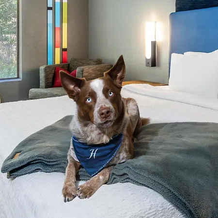 Hampton Inn Glenwood Springs-2