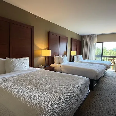 Vista Suites Near Island And Leconte Convention Center-3