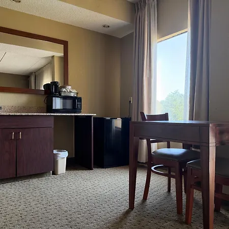Vista Suites Near Island And Leconte Convention Center-2