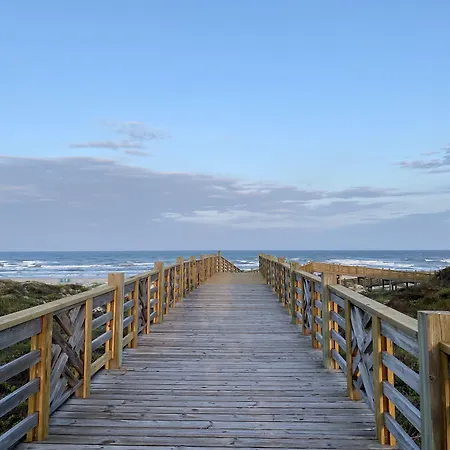 Lively Beach-3
